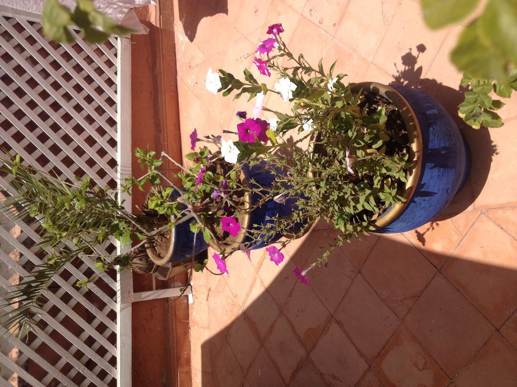 Riad Dar Saba Marrakesh Ruang foto
